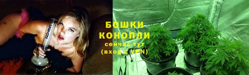 Бошки марихуана LSD WEED  Тобольск 